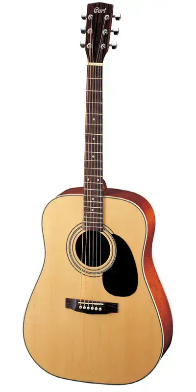 Cort AD880