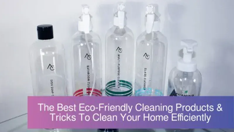 CleanGo