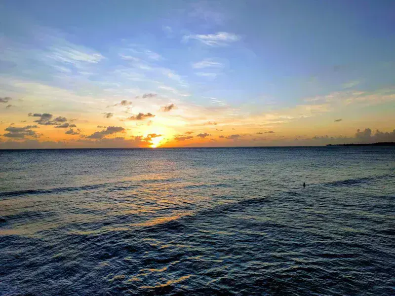 Amazonas Barbados