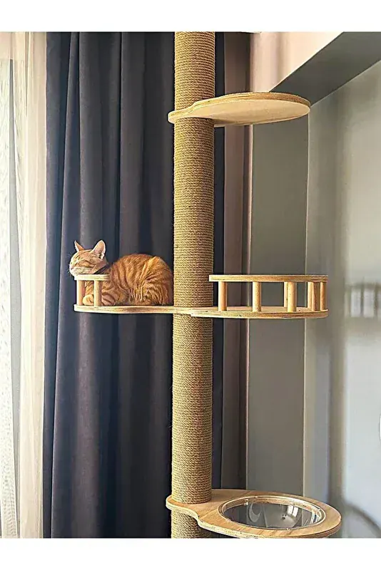 Feandrea Kedi Kulesi 158 cm