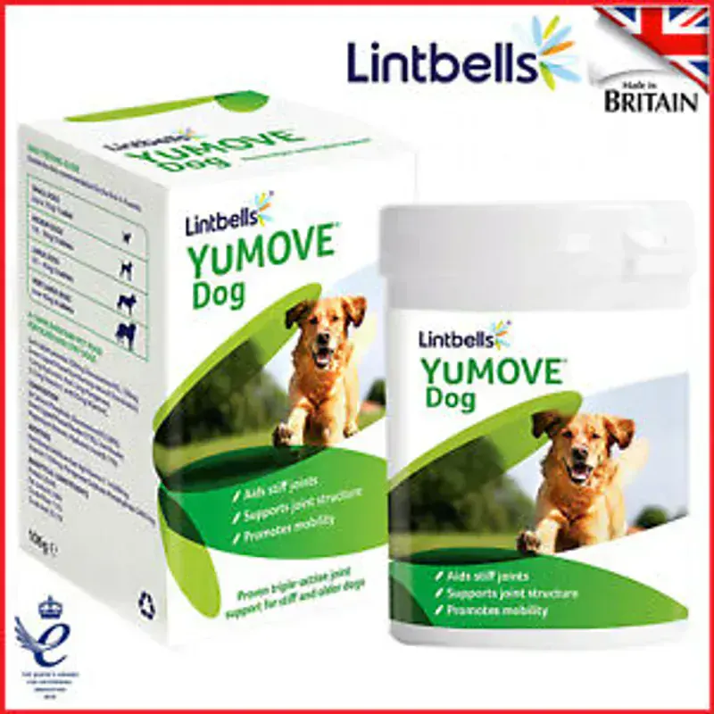 YuMove Dog