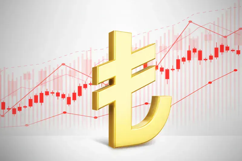 HSBC TL Vadeli Mevduat