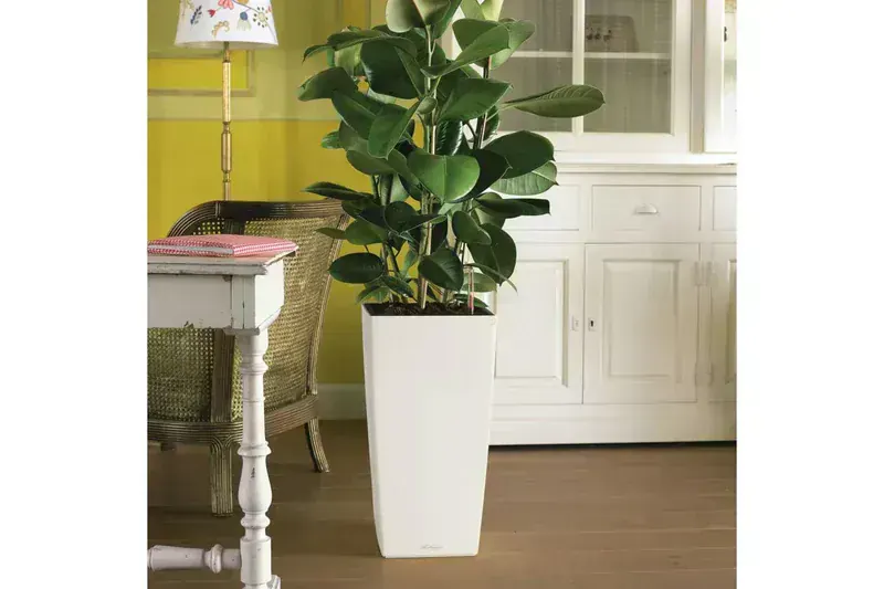 Lechuza Cubico 30