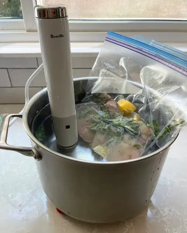 Breville Joule Turbo